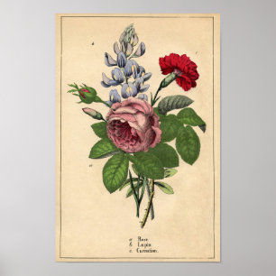 Decorator Botanical Print - Rose,Lupin & Carnation