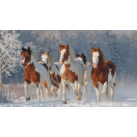 Decoupage 5 Pinto Galloping Snow Covered Field