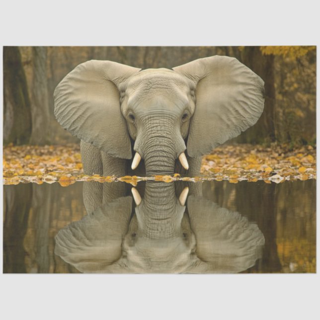 Decoupage African Elephant Wildlife Digital Art  Tissue Paper (Front)