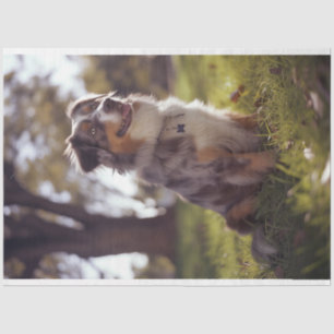 Decoupage Australian Shepherd Buddy  Tissue Paper