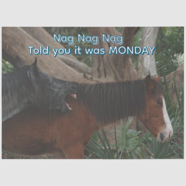 Decoupage Customisable Humourous Horse Print Tissue Paper (Front)