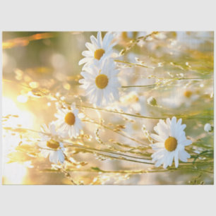 Decoupage Daisy Bright White & Yellow Field Flower Tissue Paper
