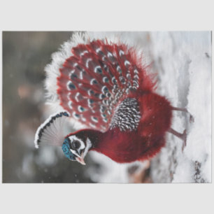 Decoupage Exotic Red Christmas Bird Tissue Paper