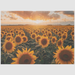 Decoupage Field of Sunflowers and Sunrise  Tissue Paper