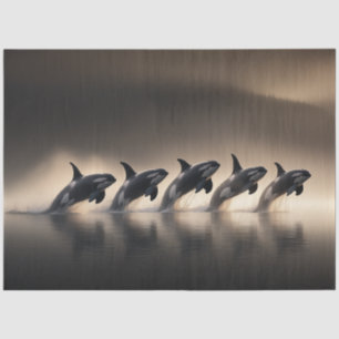 Decoupage Five Orcas Synchronised Display Ocean Tissue Paper