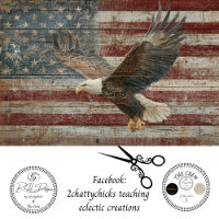 Decoupage Flag Distress Background Eagle in Flight