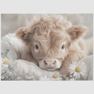 Decoupage Highland Calf White Daisies  Tissue Paper