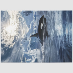 Decoupage Killer Whale Orca Icy Waters Tissue Paper