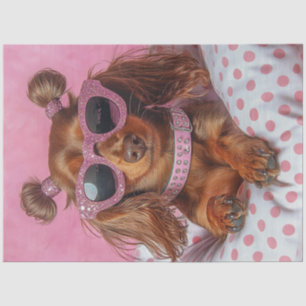 Decoupage Longhaired Dachshund in PINK  Tissue Paper