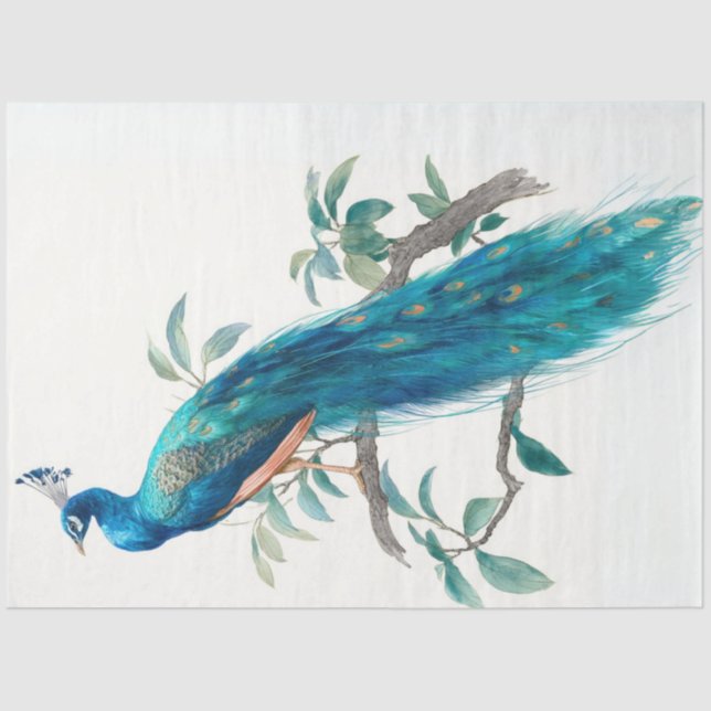 Decoupage Natures Crown Botanical Peacock  Tissue Paper (Front)