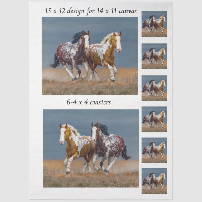 Decoupage Painted Horses Running 11x14 Canvas Tissue Paper (Front)