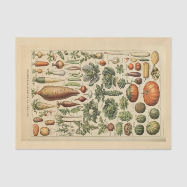 Decoupage Paper 10"x15" - Botanical Art 45 (Front)