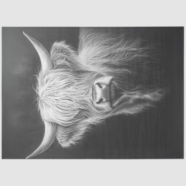 Decoupage Shaggy Highland Cow Black Background  Tissue Paper (Front)