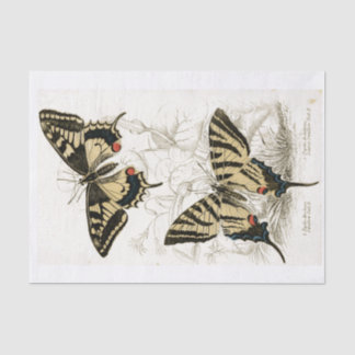Decoupage Vintage Butterflys  Tissue Paper
