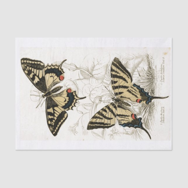 Decoupage Vintage Butterflys  Tissue Paper (Front)