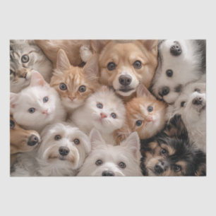 Decoupage Whimsical Cats & Dogs Heartwarming Scene Tissue Paper