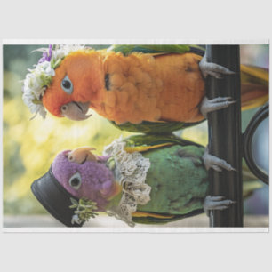 Decoupage Whimsical Concur Birds Wedding Tissue Paper