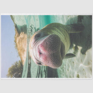 Decoupage Whimsical Ocean Noisy Manatee Tissue Paper