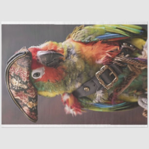 Decoupage Whimsical Pirate Conure Parrot Tissue Paper