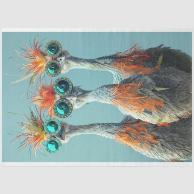 Decoupage Whimsical Wackadoodle Bird Art Tissue Paper (Front)