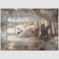 Decoupage Whimsical White Barn Owl Books Artwork 