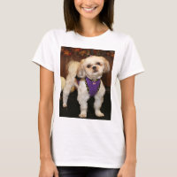 DeeDee -ShihTzu-Photo 3