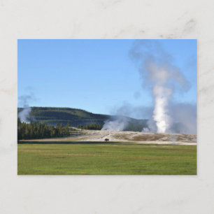 Deep Blue Geyser and Bison at Yellowstone Postcard