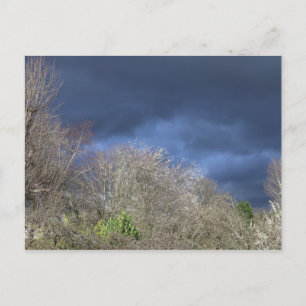 Deep Blue Skyline Postcard