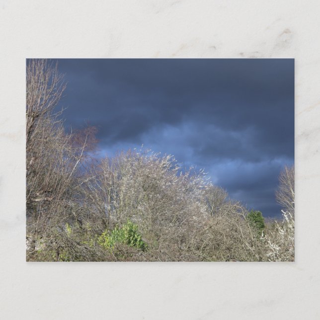 Deep Blue Skyline Postcard (Front)