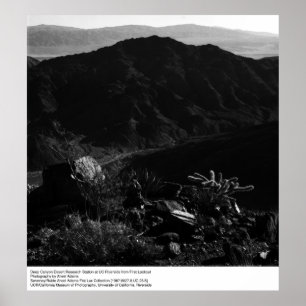 Deep Canyon Desert Research Station by Ansel Adams Poster