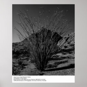 Deep Canyon Desert Research Station by Ansel Adams Poster