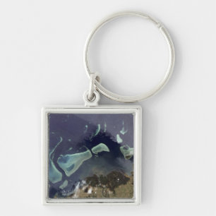 Deep green forest on land key ring