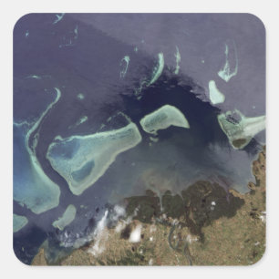 Deep green forest on land square sticker