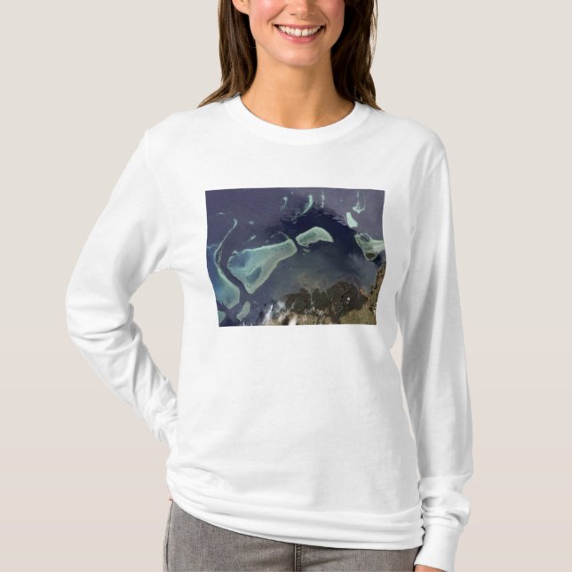 Deep green forest on land T-Shirt (Front)
