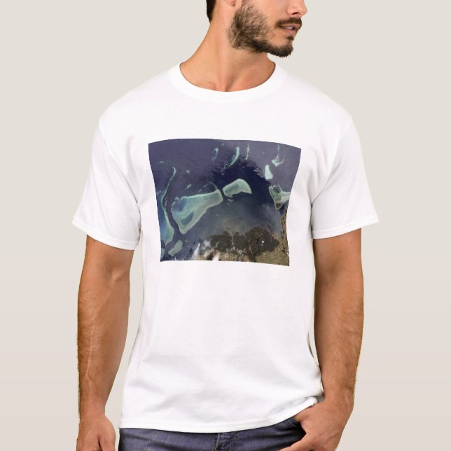 Deep green forest on land T-Shirt (Front)