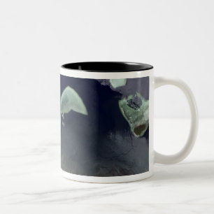 Deep green forest on land Two-Tone coffee mug
