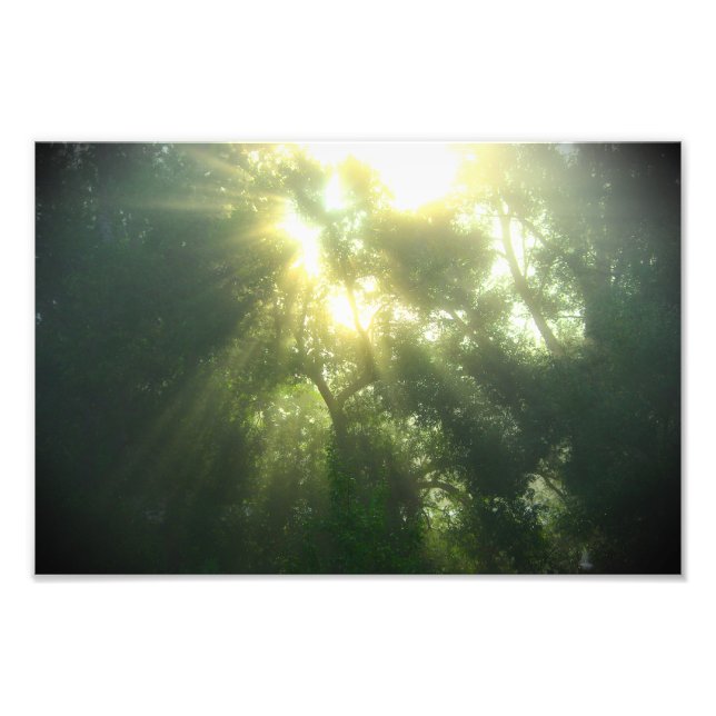 Deep Green Forest - Photo Print (Front)