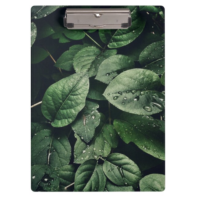 Deep Green Jungle Leaf Foliage Clipboard (Front)