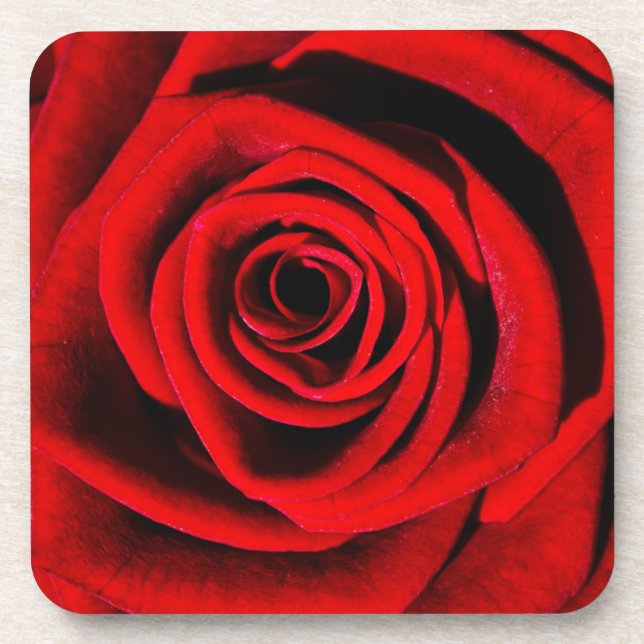 Deep in a Red Rose Coaster (Front)