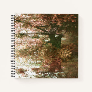 Deep in the Forest... Notebook