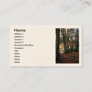 Deep In The Heart Business/Profile Cards