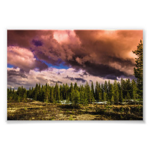 Deep in the northern forests  photo print
