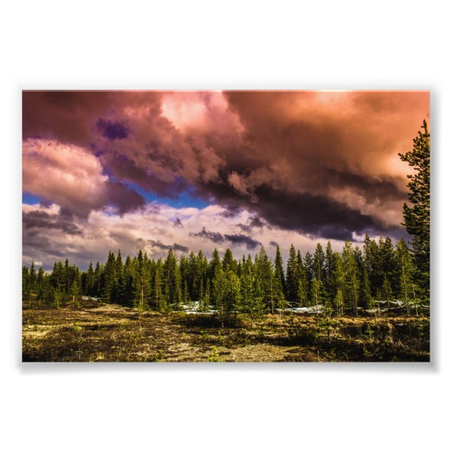 Deep in the northern forests  photo print (Front)