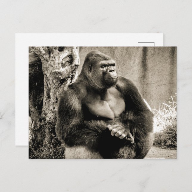 DEEP IN THOUGHT Postcard (Front/Back)