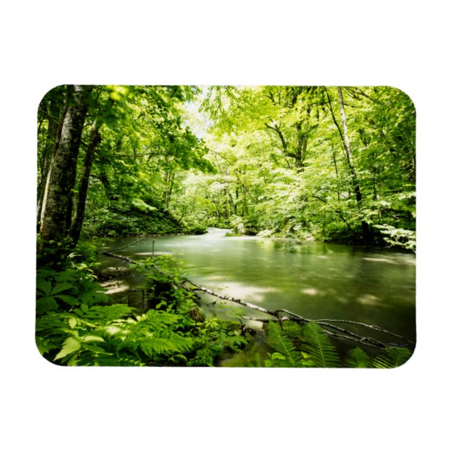 Deep Into the Forest Magnet (Horizontal)