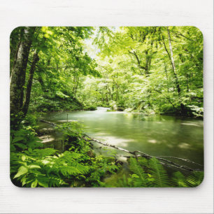 Deep Into the Forest Mouse Mat