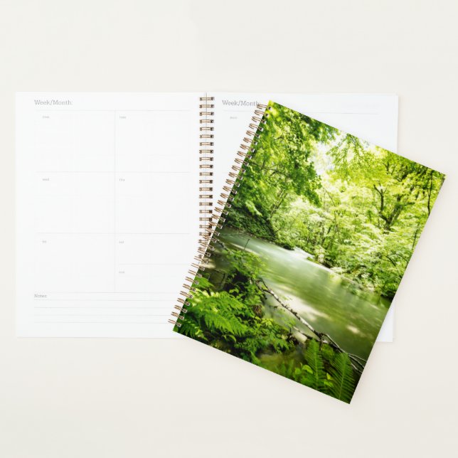 Deep Into the Forest Planner (Display)