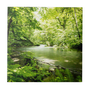 Deep Into the Forest Tile
