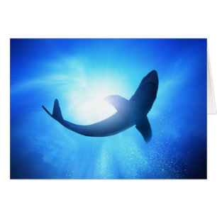 Deep Ocean Shark Silhouette