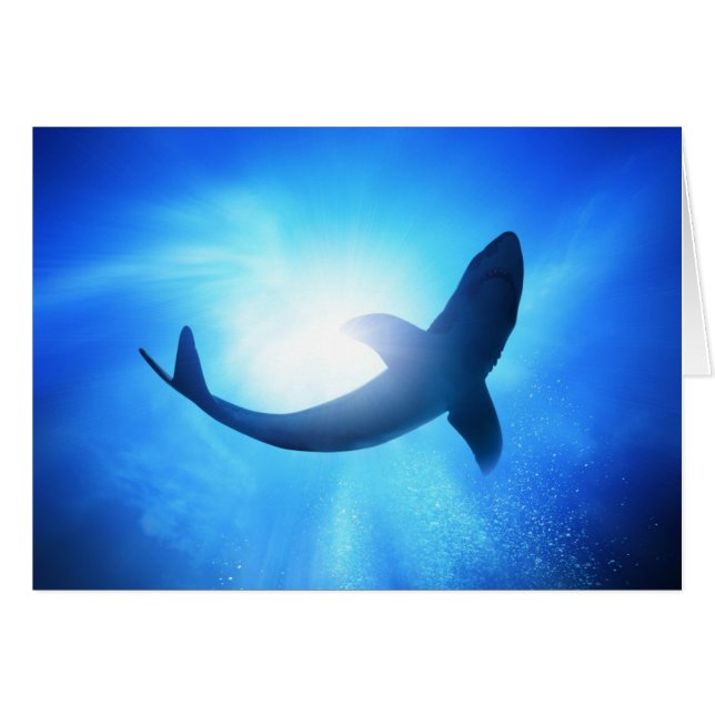 Deep Ocean Shark Silhouette (Front Horizontal)